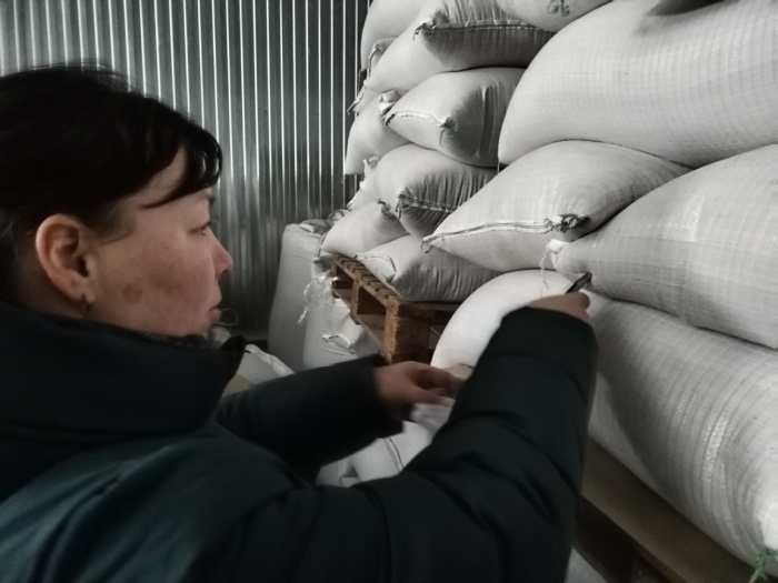В Московском филиале проводится проверка семян многолетних трав, предназначенных для реализации