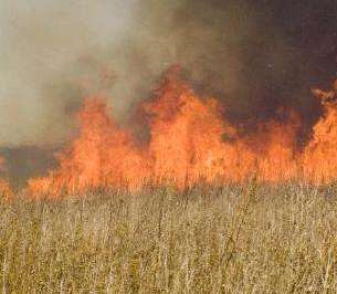 Тюменским аграриям рекомендовано обеспечить пожарную безопасность на объектах АПК 