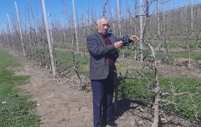 Специалисты Россельхозцентра обследовали состояние плодовых культур на юге Дагестана
